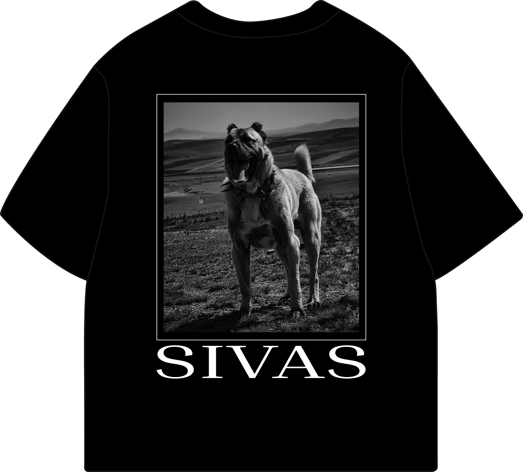 Memleket Sivas